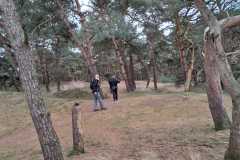 IMG-20250301-WA0001