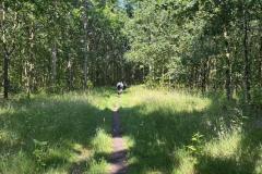 IMG-20260620-WA0003