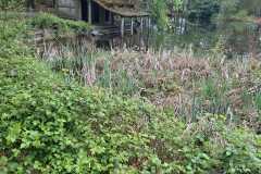 IMG-20260418-WA0012