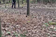IMG-20260418-WA0027