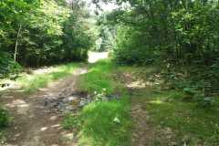 IMG-20240629-WA0001