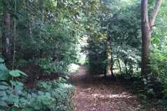 IMG-20240629-WA0004