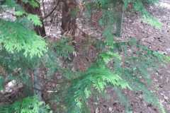 IMG-20240629-WA0008