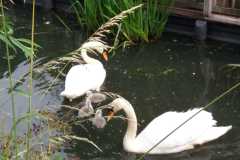 IMG-20240615-WA0002