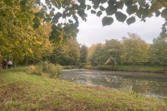 IMG-20251011-WA0017