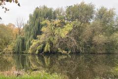IMG-20251011-WA0018