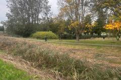 IMG-20251011-WA0021