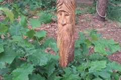 IMG-20250607-WA0011