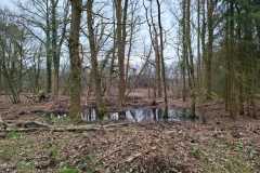 IMG-20250315-WA0002