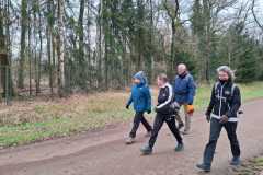 IMG-20250315-WA0004