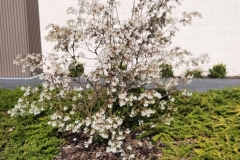 FB_IMG_1774711415356