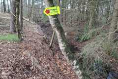 IMG-20260328-WA0014