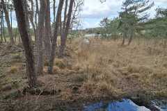 IMG-20260328-WA0015
