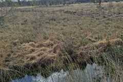 IMG-20260328-WA0016