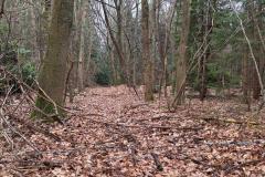 IMG-20250222-WA0002