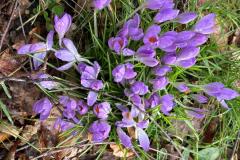 IMG-20250222-WA0006