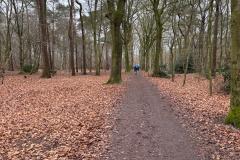 IMG-20250222-WA0008