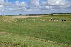 IMG-20260905-WA0008