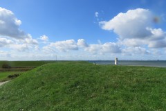 IMG_9731