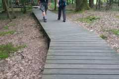 IMG-20240825-WA0003
