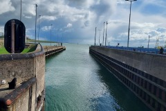 20260314_114726