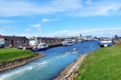 20260314_115031