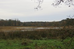 IMG_7572