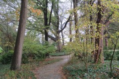 IMG_8746