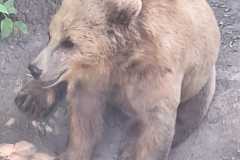 IMG-20260614-WA0001