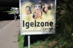 IMG-20260617-WA0003