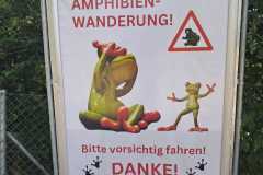 IMG-20260617-WA0012