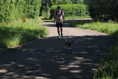 IMG-20260617-WA0017