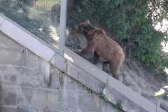 IMG-20260617-WA0023