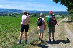 IMG-20260621-WA0004